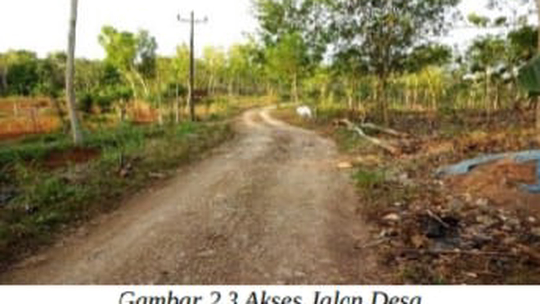 Tanah Kosong Bekas Kandang Kawasan Pertanian Lahan Kering