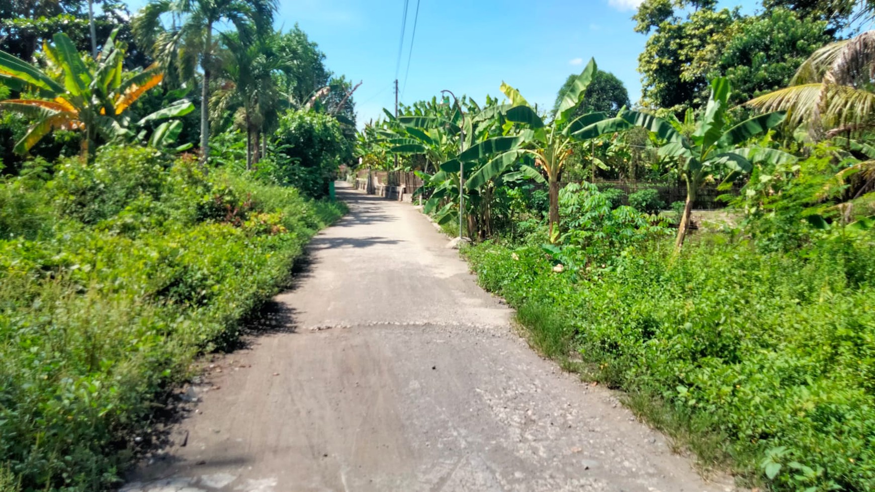 Tanah Kavling Cocok Untuk Kost/Homestay Lokasi Dekat Kampus ISI 