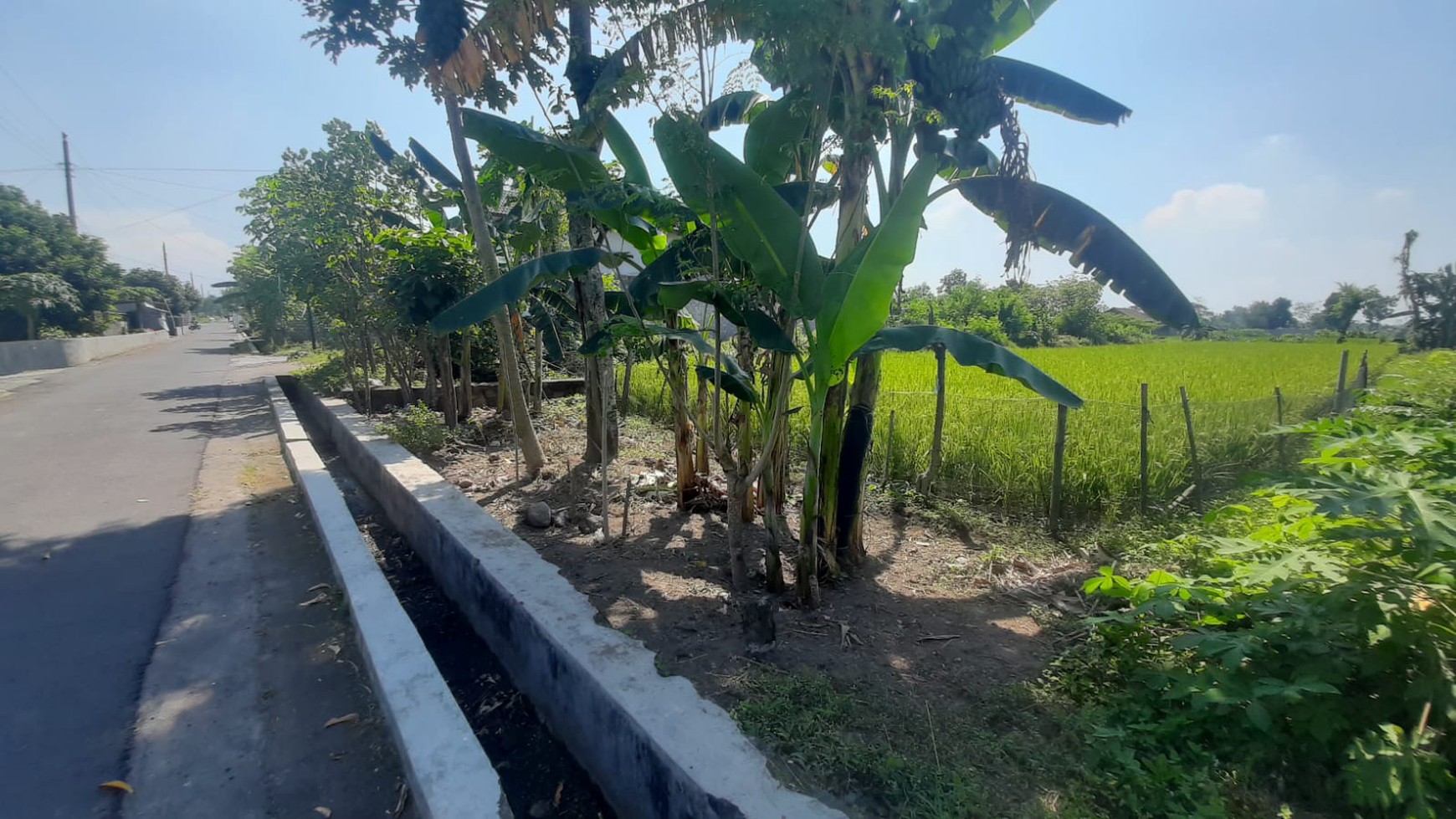 Tanah Sawah Luas 709 Meter Persegi Lokasi di Tamanmartani Kalasan Sleman 