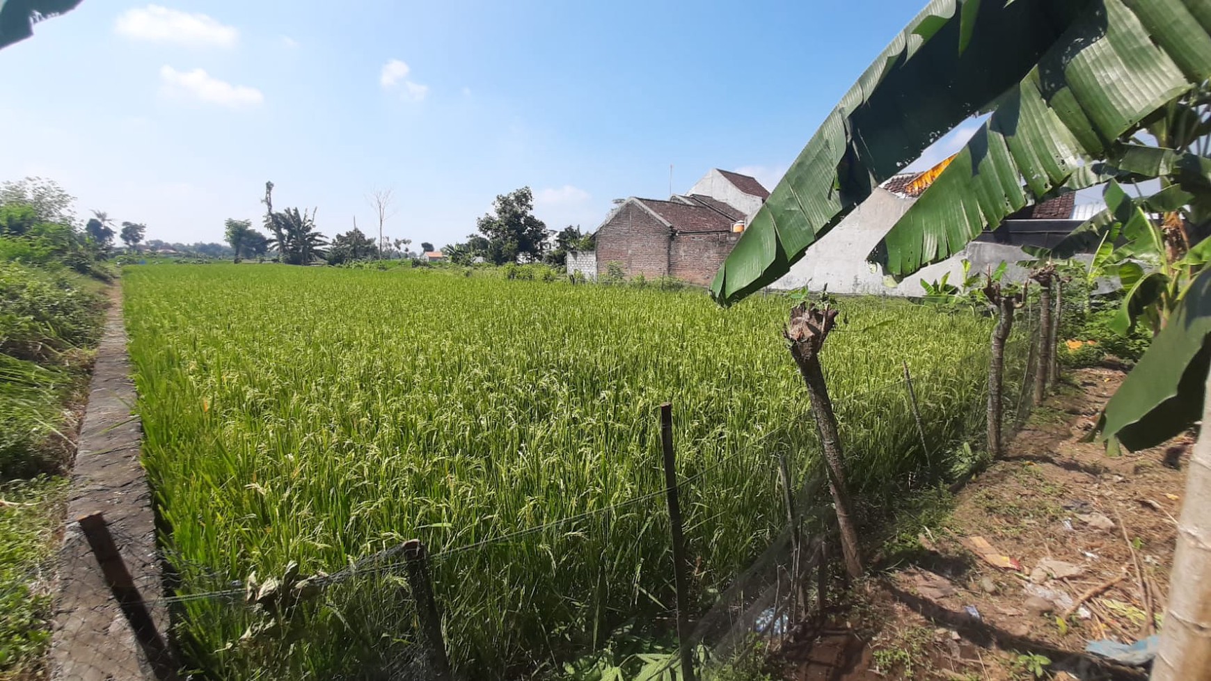 Tanah Sawah Luas 709 Meter Persegi Lokasi di Tamanmartani Kalasan Sleman 