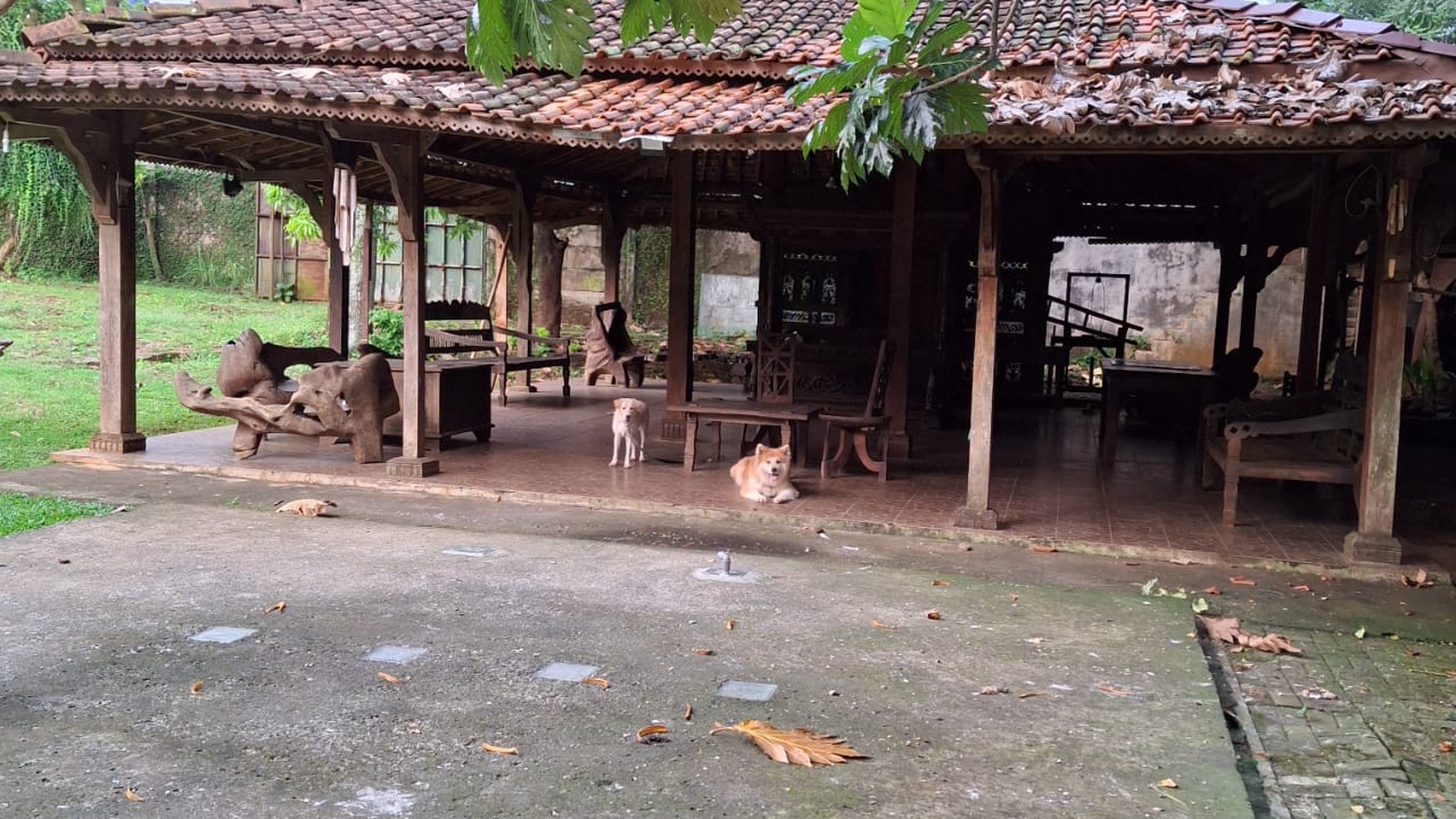 Rumah Bagus, Halaman luas dan Asri di Bintaro