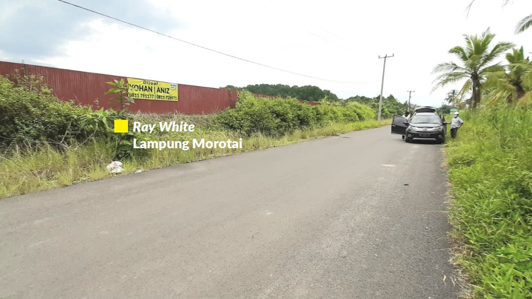 Dijual Cepat Tanah Tambak Pesawaran