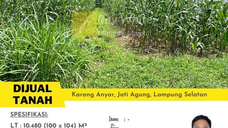 Jual Tanah Murah Lampung