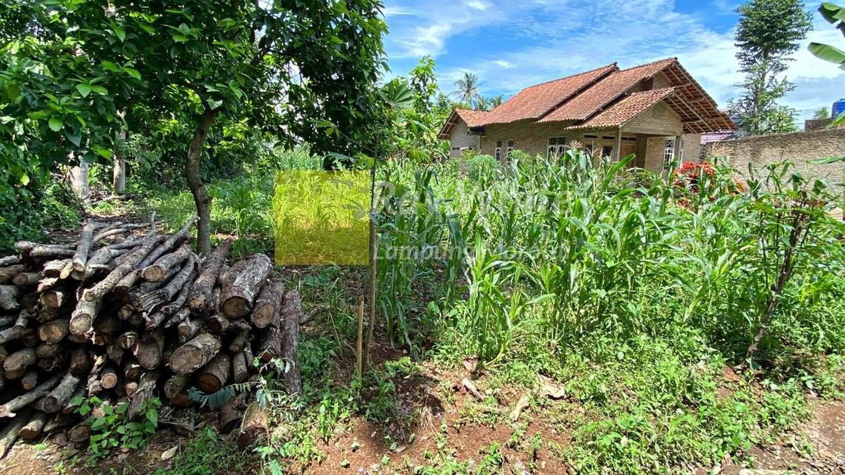 Tanah Murah di Karang Anyar , Jati agung , Lampung Selatan