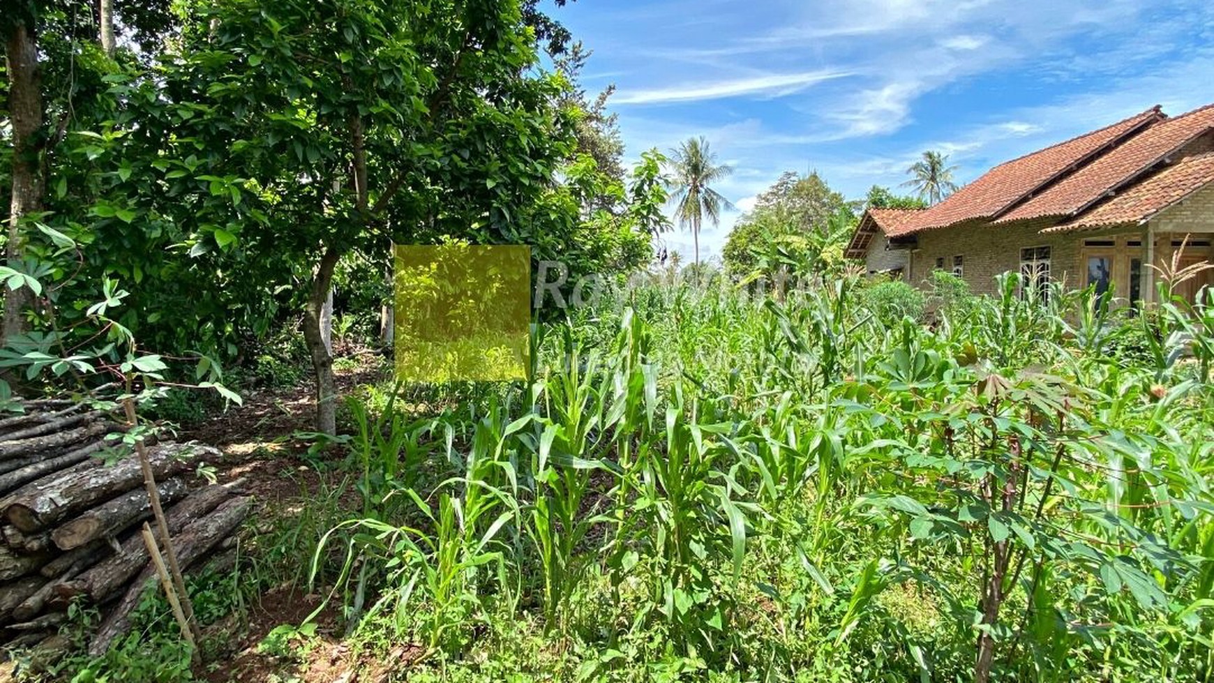 Tanah Murah di Karang Anyar , Jati agung , Lampung Selatan