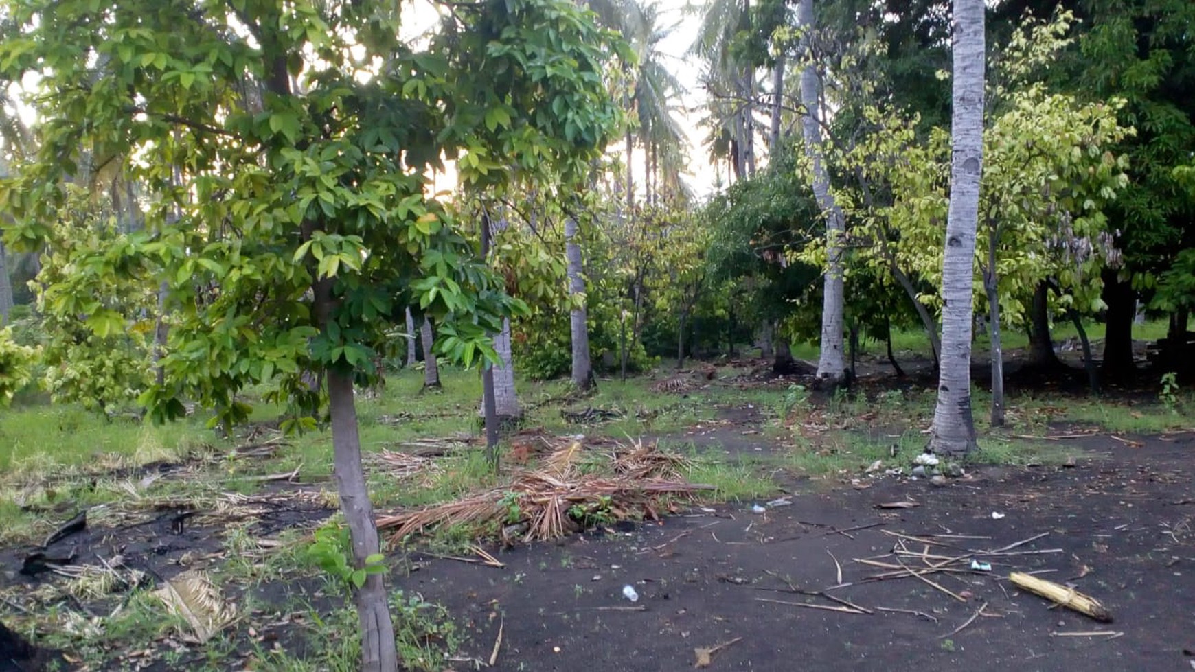 TANAH KOMERSIL 3,5 HA PINGGIR PANTAI DI SIKKA FLORES NTT, COCOK UNTUK USAHA BUDIDAYA PERIKANAN