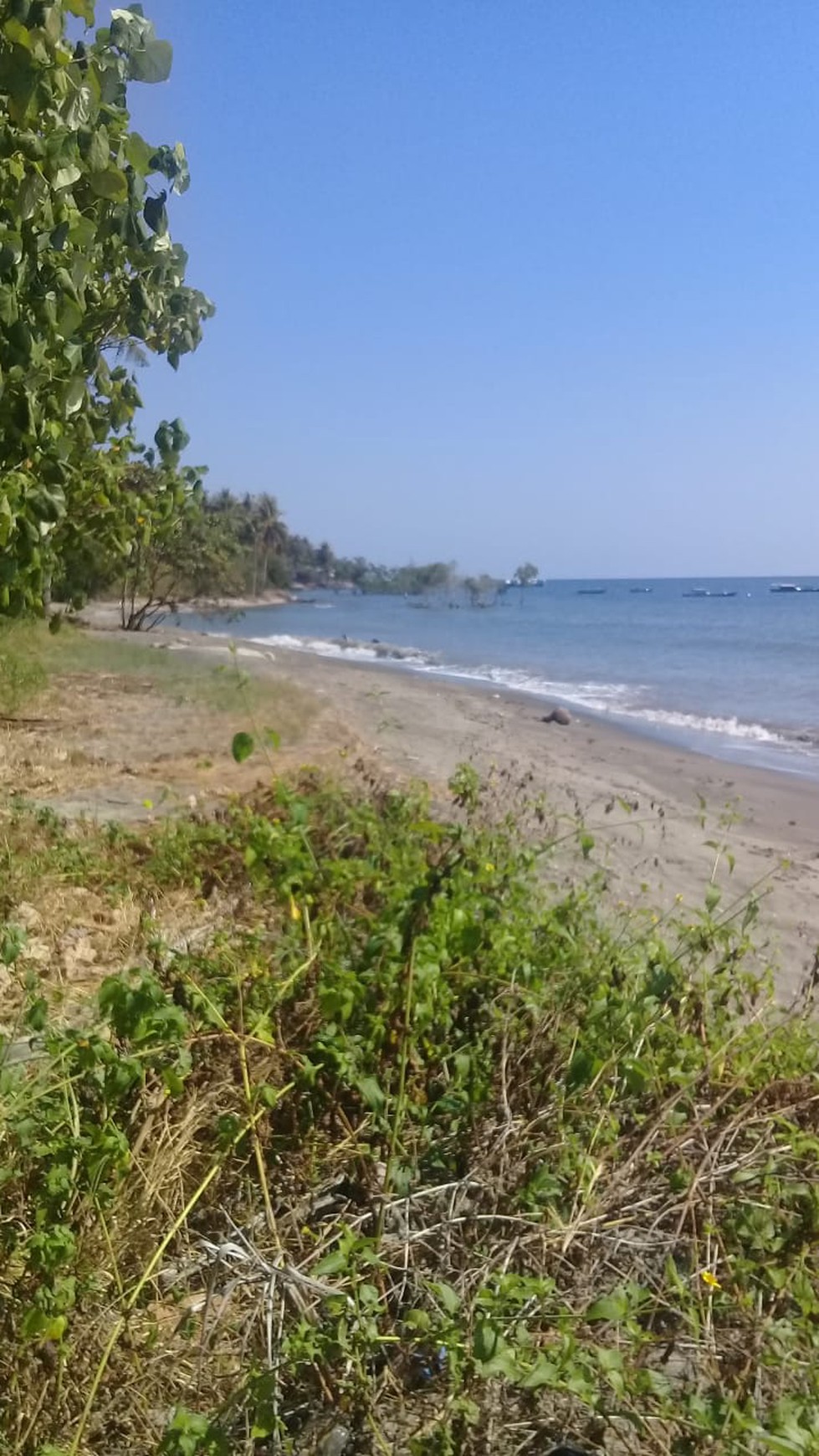 TANAH KOMERSIL 3,5 HA PINGGIR PANTAI DI SIKKA FLORES NTT, COCOK UNTUK USAHA BUDIDAYA PERIKANAN