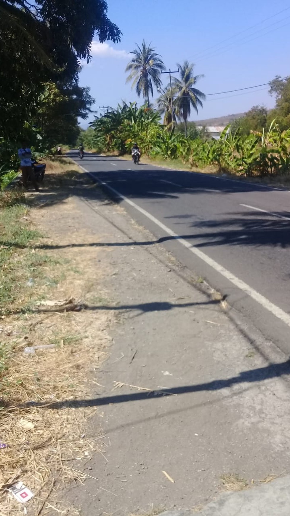 TANAH KOMERSIL 3,5 HA PINGGIR PANTAI DI SIKKA FLORES NTT, COCOK UNTUK USAHA BUDIDAYA PERIKANAN