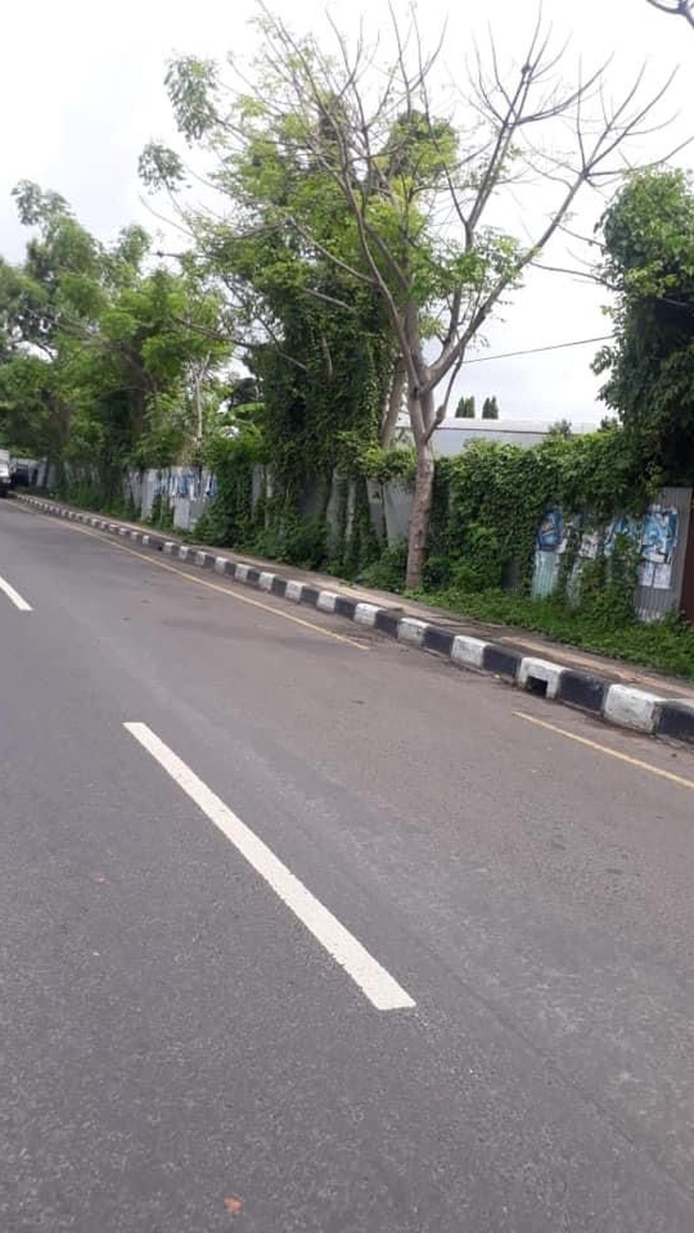 Dijual Tanah Kavling Pinggir Jalan Cocok untuk Usaha di Denpasar Bali