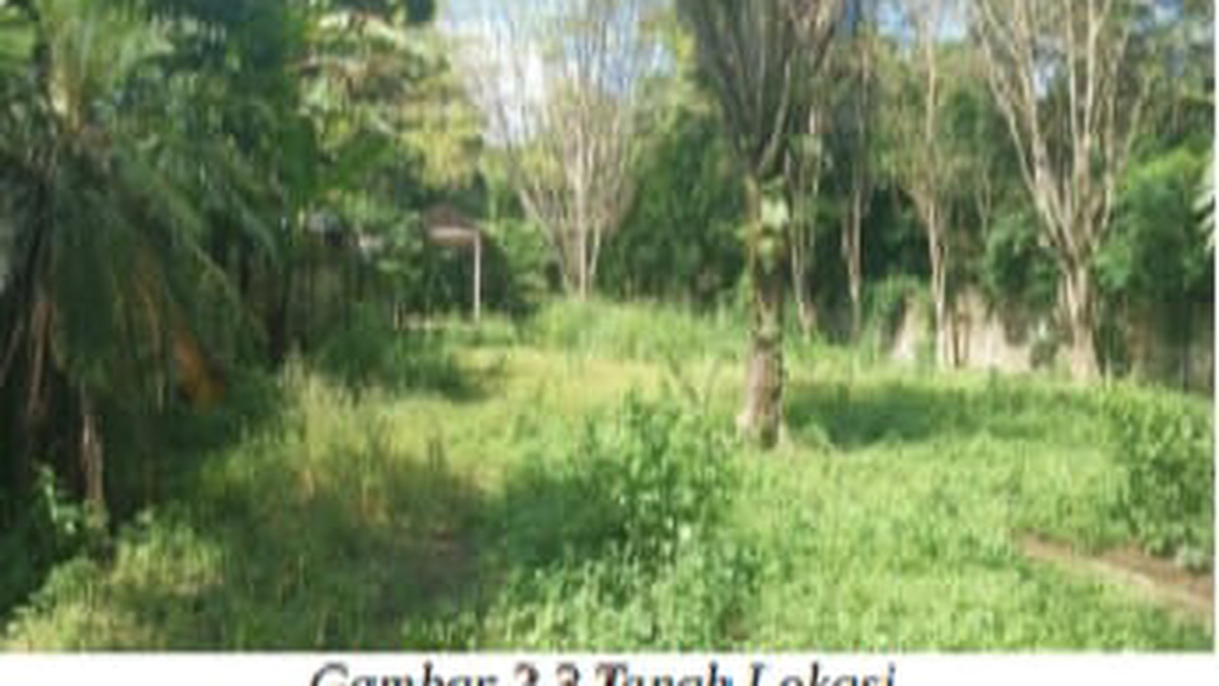 Rumah Hitung Tanah Area Cipete