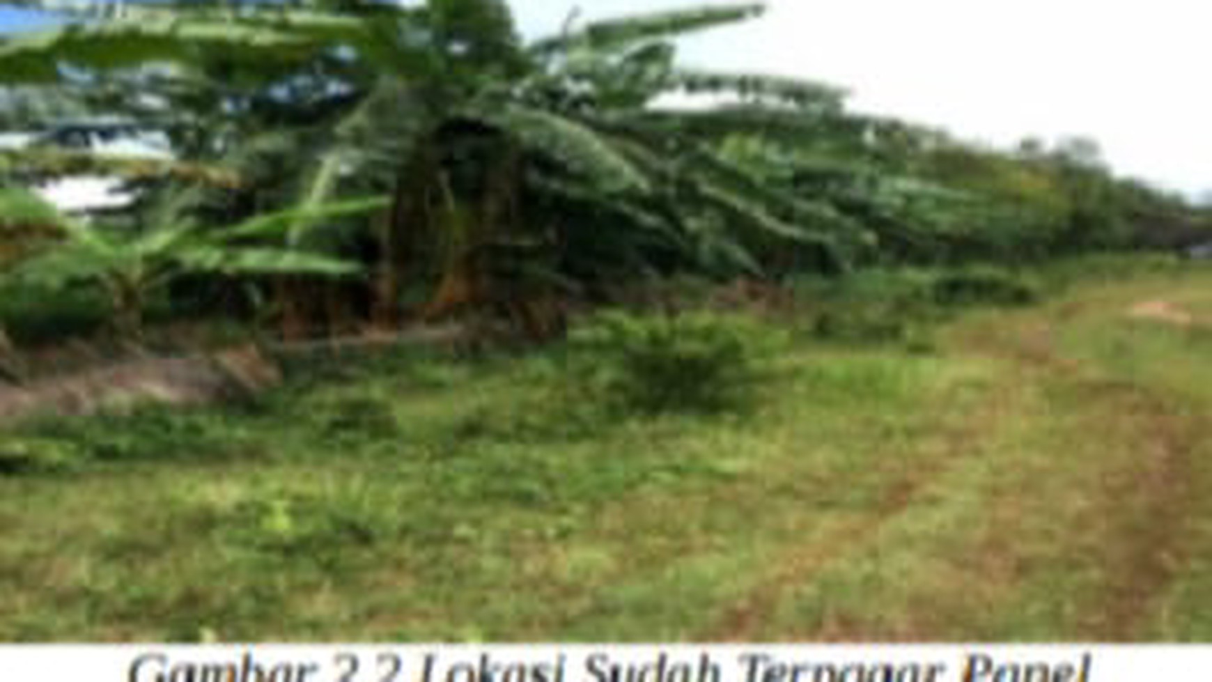 Tanah Tegalan Kebun dan Sawah Desa Bantar Panjang Kawasan Permukiman