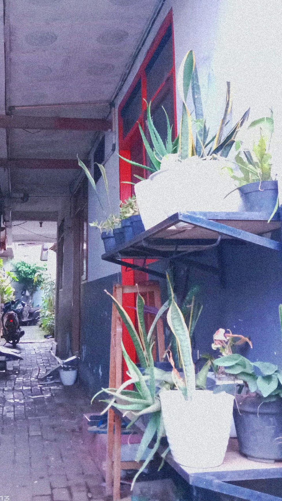 Dijual Rumah Kontrakan Dekat Kampus Maranatha Bandung Rp. 1.2M ( Nego)