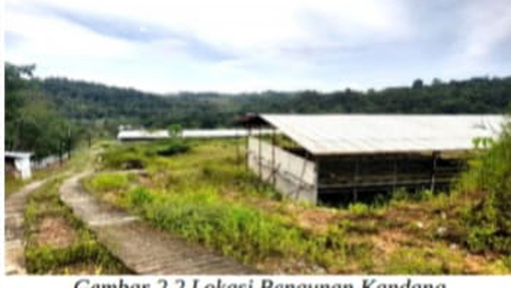 Tanah dan Bekas Bangunan Kandang Desa Batuah Kawasan Perkebunan