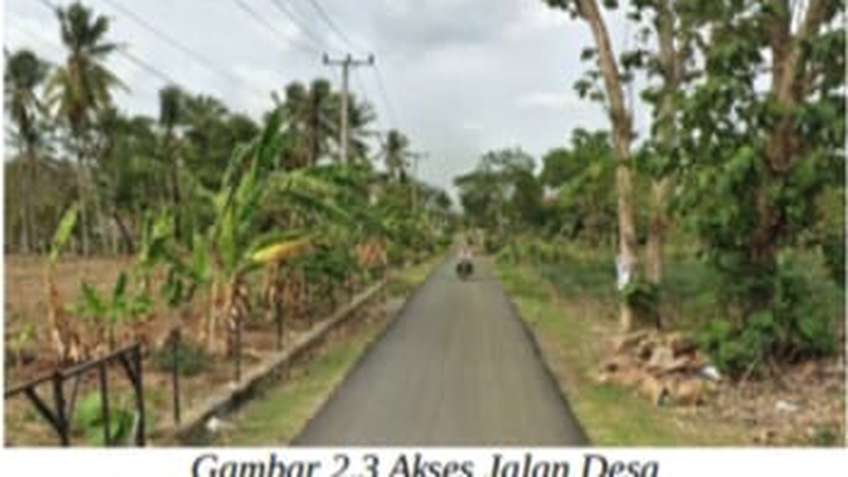 Tanah Kebun Kawasan Pertanian Lahan Kering Cocok untuk Perkebunan