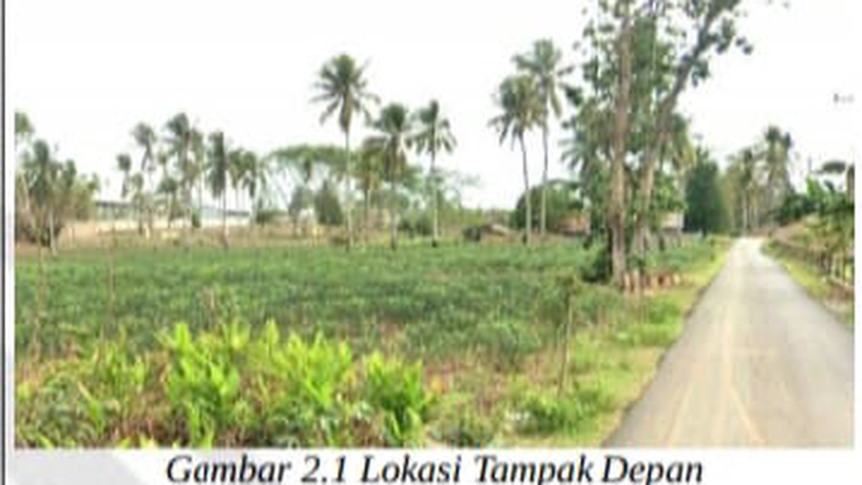 Tanah Kebun Kawasan Pertanian Lahan Kering Cocok untuk Perkebunan