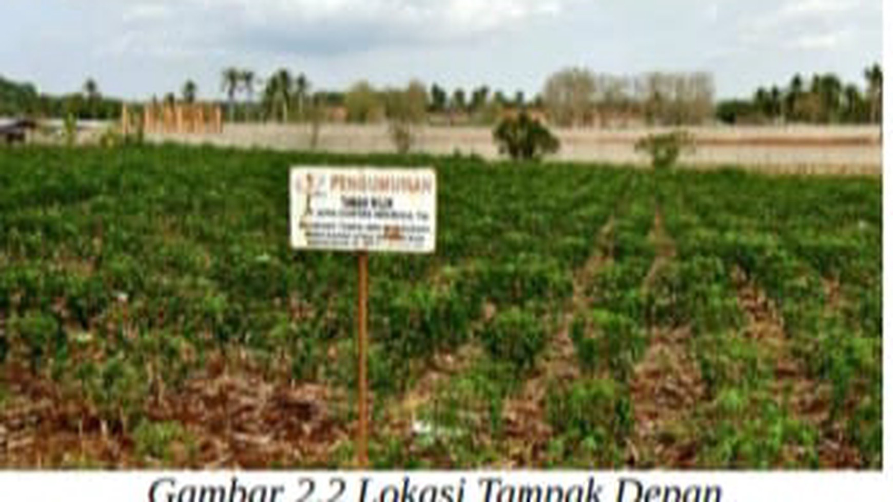 Tanah Kebun Kawasan Pertanian Lahan Kering Cocok untuk Perkebunan