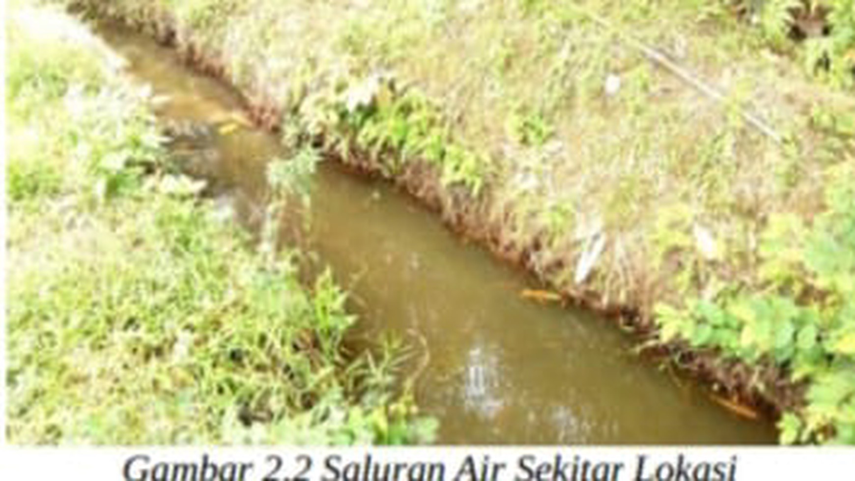 Tanah Kebun Desa Kuripan Kawasan Pertanian Lahan Kering