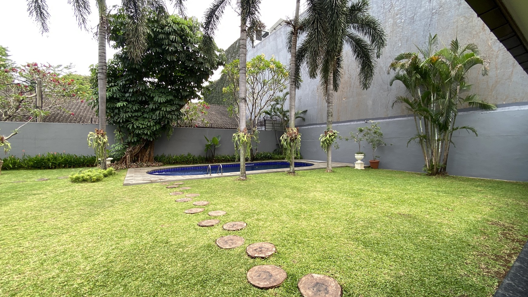 Big house with big backyard in pejaten, jakarta selatan