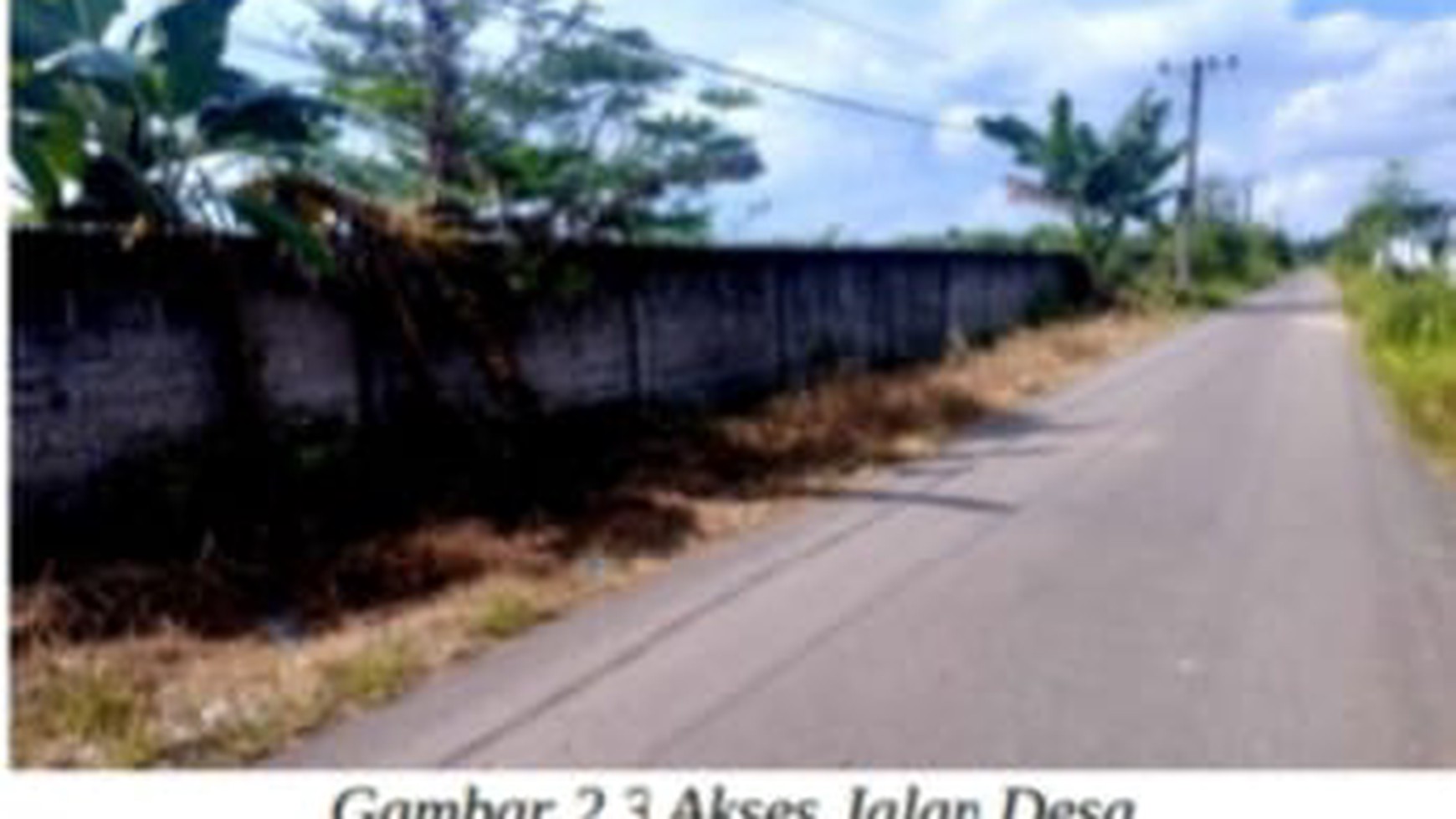 Tanah Kebun Kawasan Perkebunan dan Permukiman Perdesaan