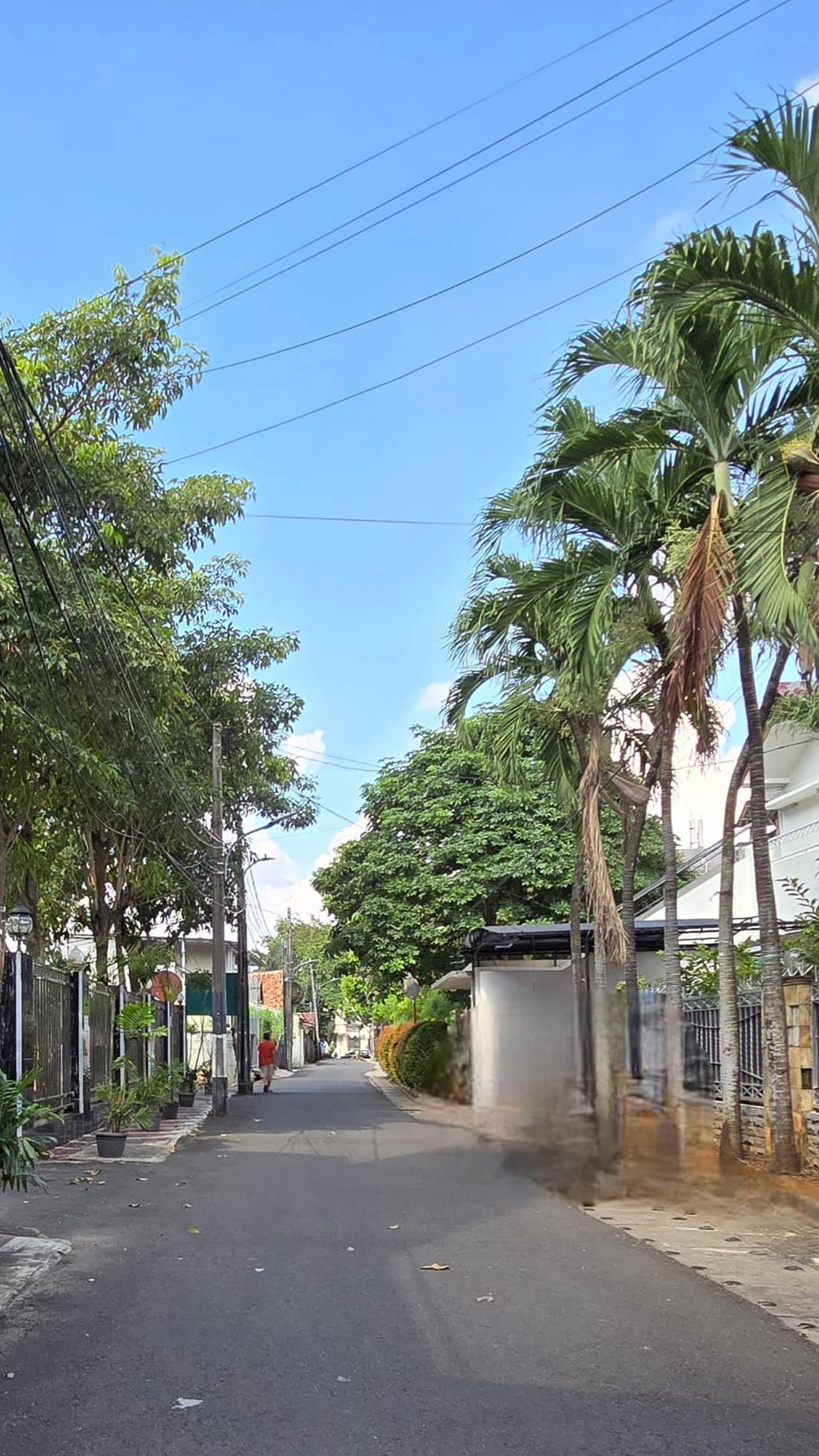 Rumah Bagus Di Jl Kebun Besar Cilandak Jakarta Selatan