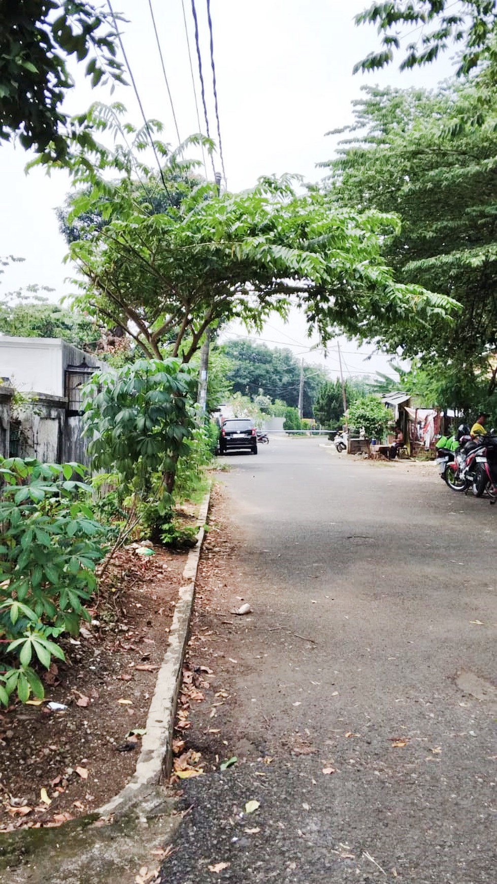 Rumah Bagus Di Jl Pertamina Raya, Komp Pertamina Pondok Ranji