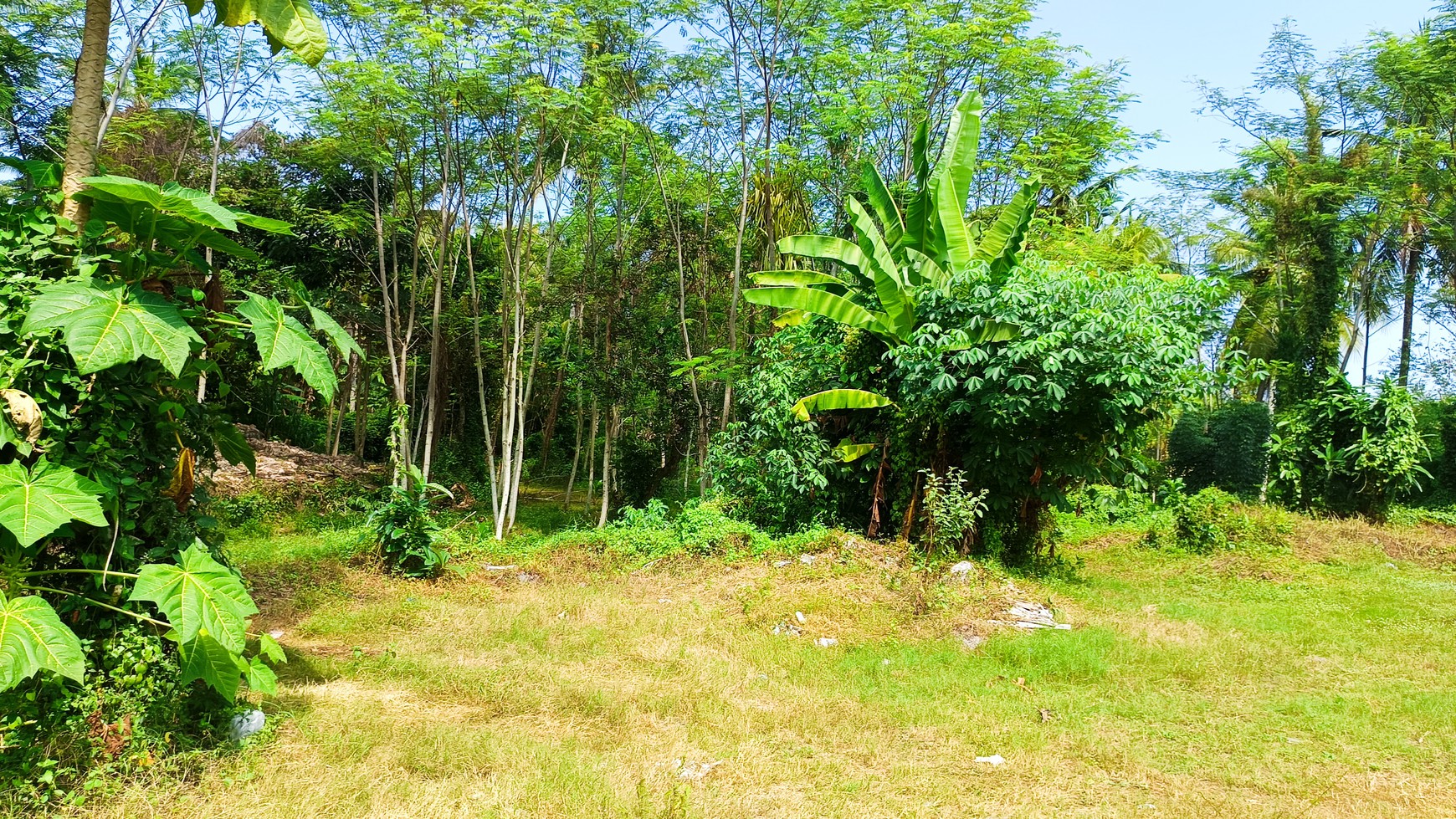 Prime Commercial Land in West Bali For Sale