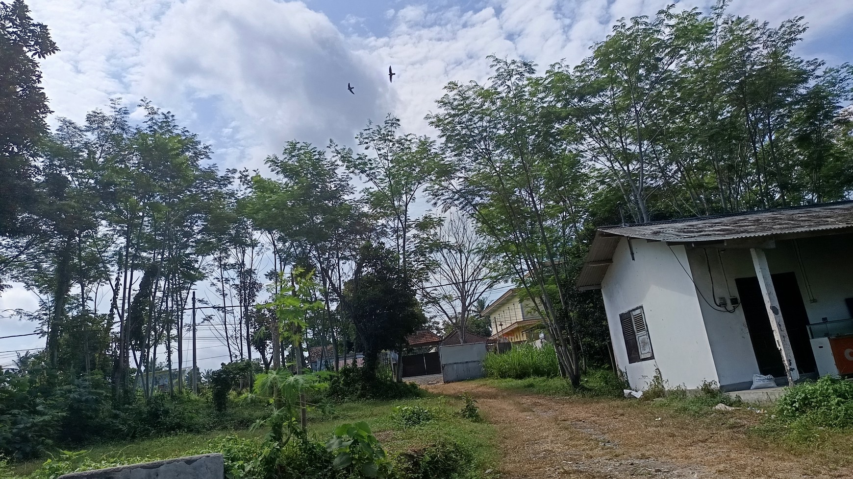 Prime Commercial Land in West Bali For Sale