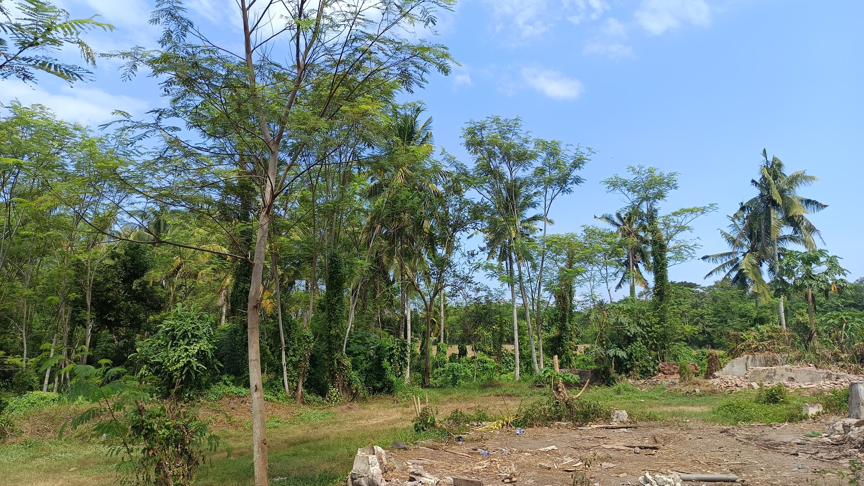 Prime Commercial Land in West Bali For Sale