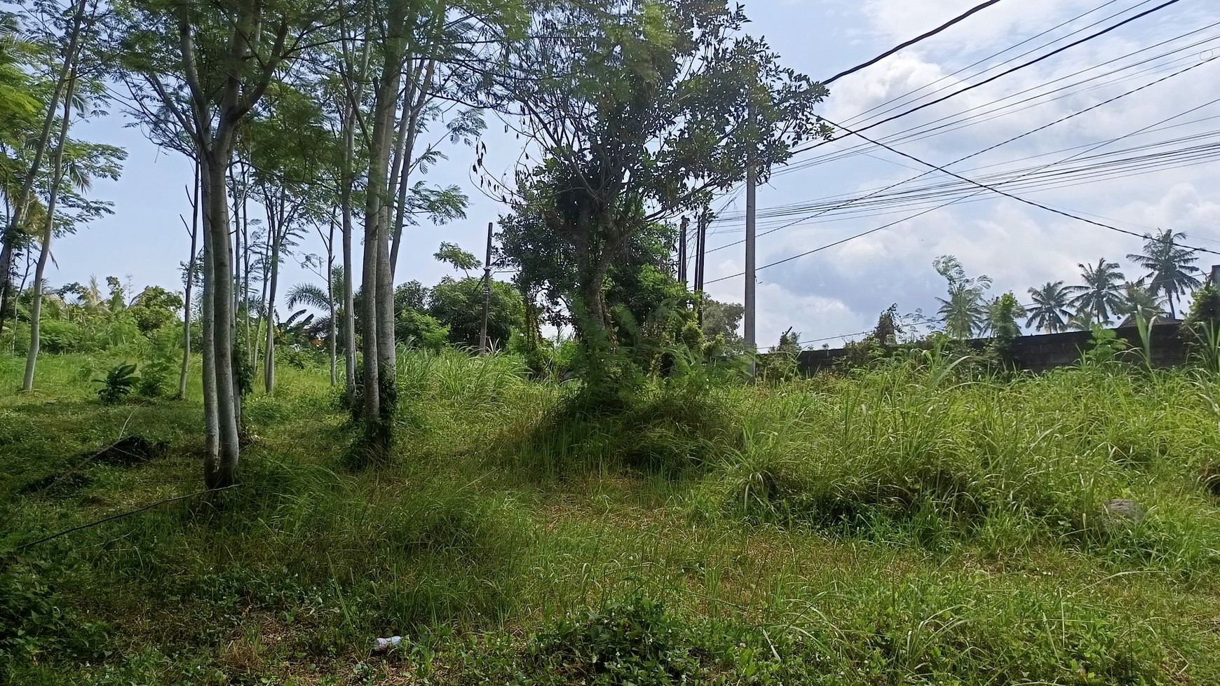 Prime Commercial Land in West Bali For Sale