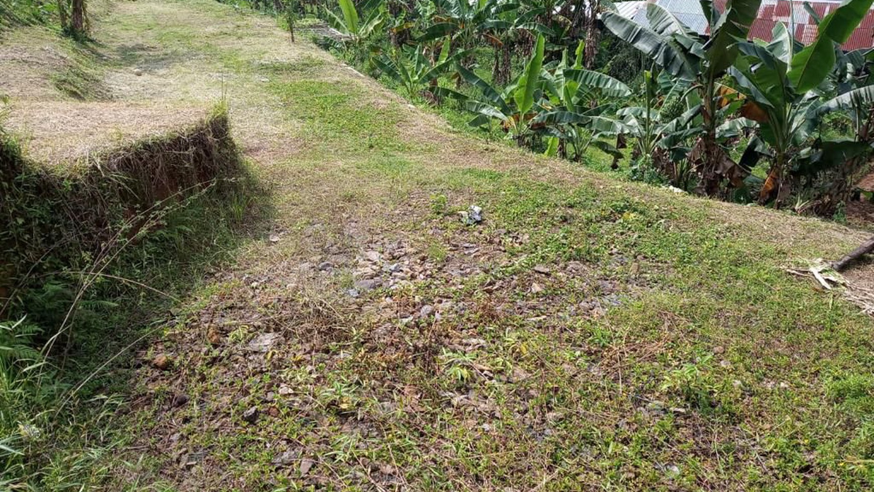 Dijual 1 area tanah di Cisarua, Bogor Jawa Barat