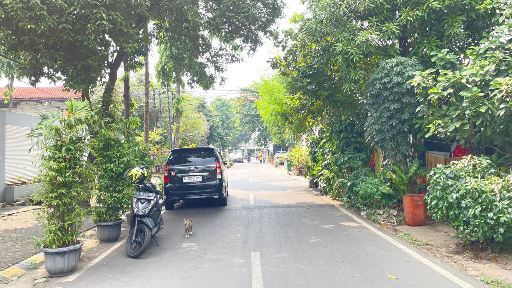 Rumah Tua Percetakan Negara, jalan besar, extra space trotoar lebar