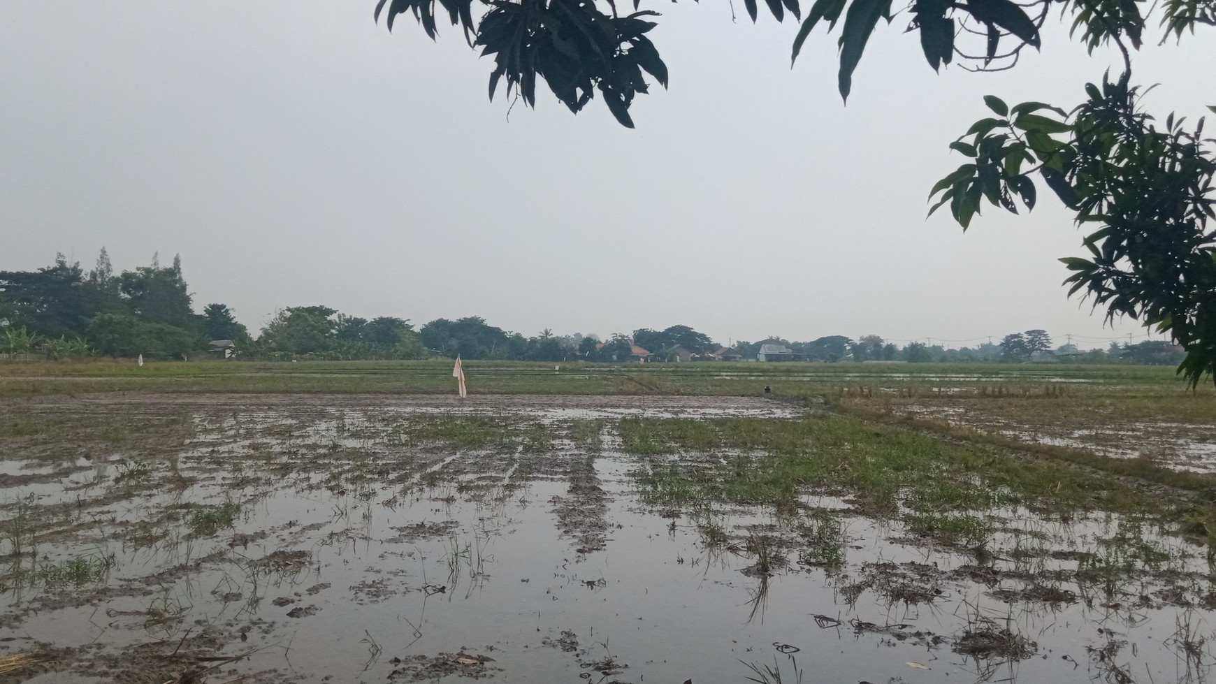 Tanah murah Lokasi Strategis Pebayuran 