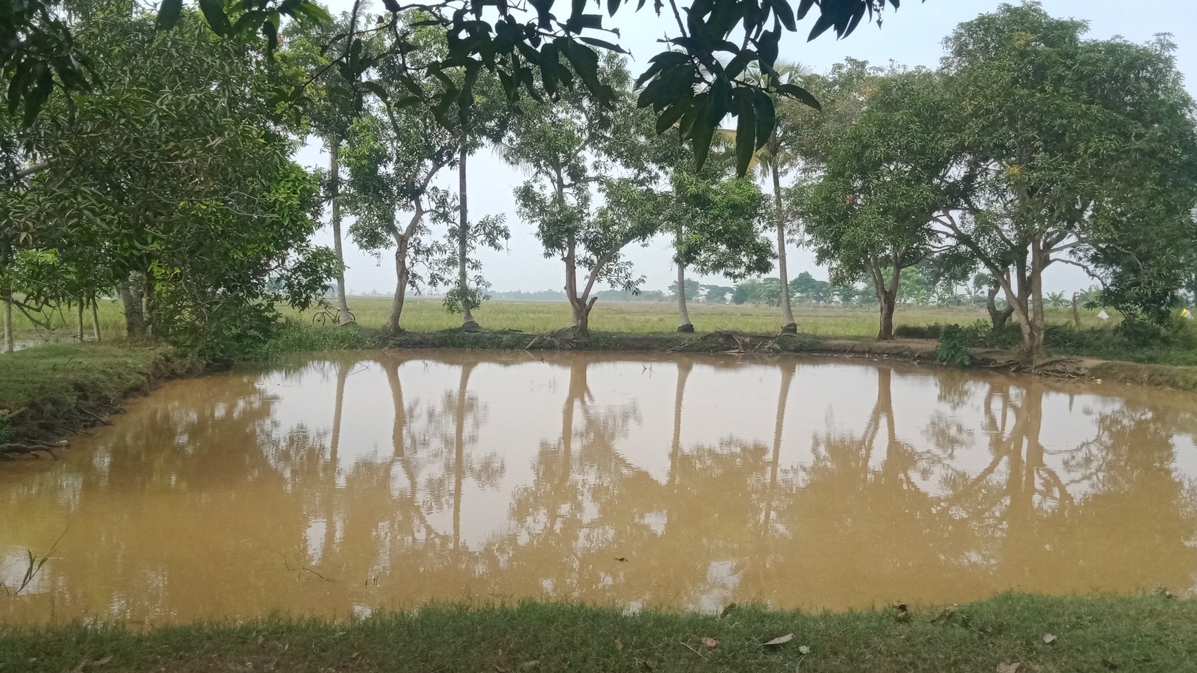 Tanah murah Lokasi Strategis Pebayuran 