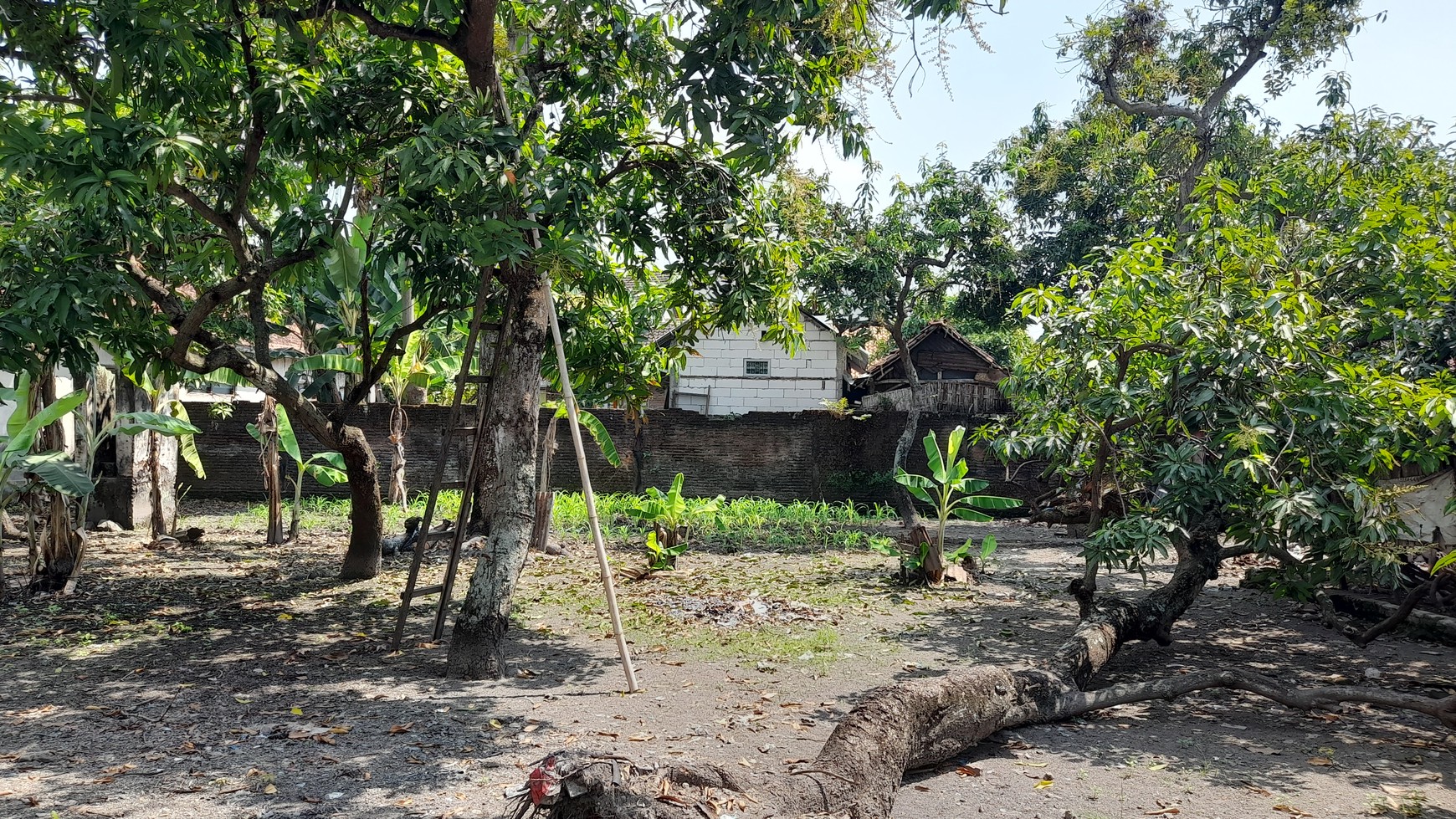 Kompleks rumah keluarga di Kepatihan, Jombang Kota