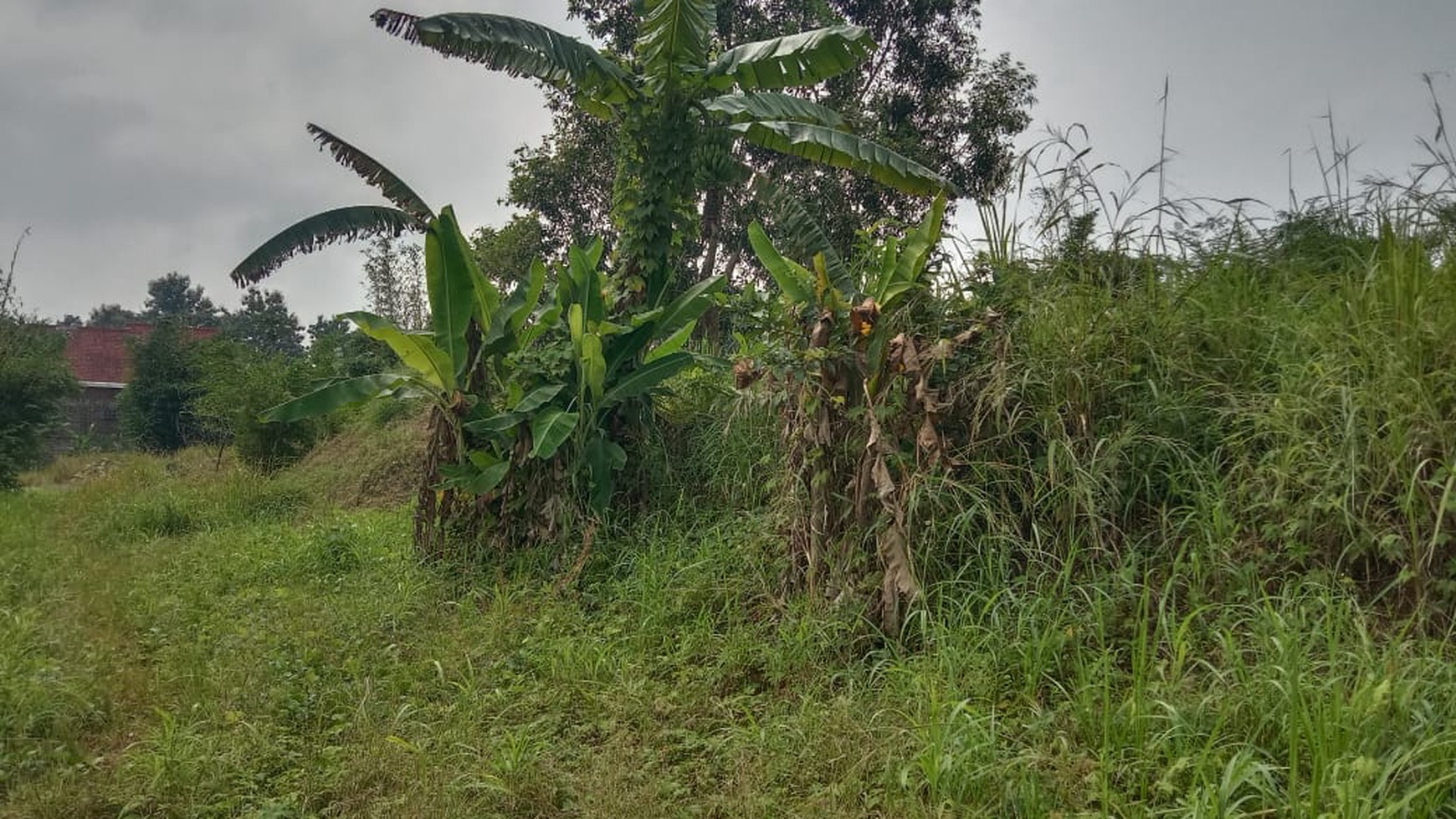 Miliki Tanah Kavling di pusat Berkembang