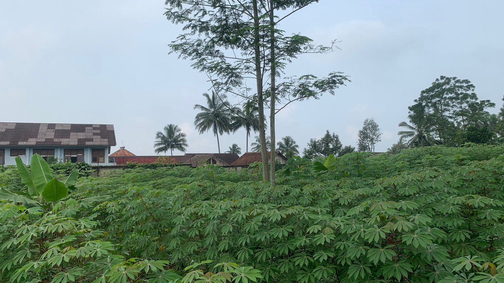 Lahan cocok utk Pabrik, dekat dengan pabrik2 ternama di Jl. Cidahu Raya Sukabumi