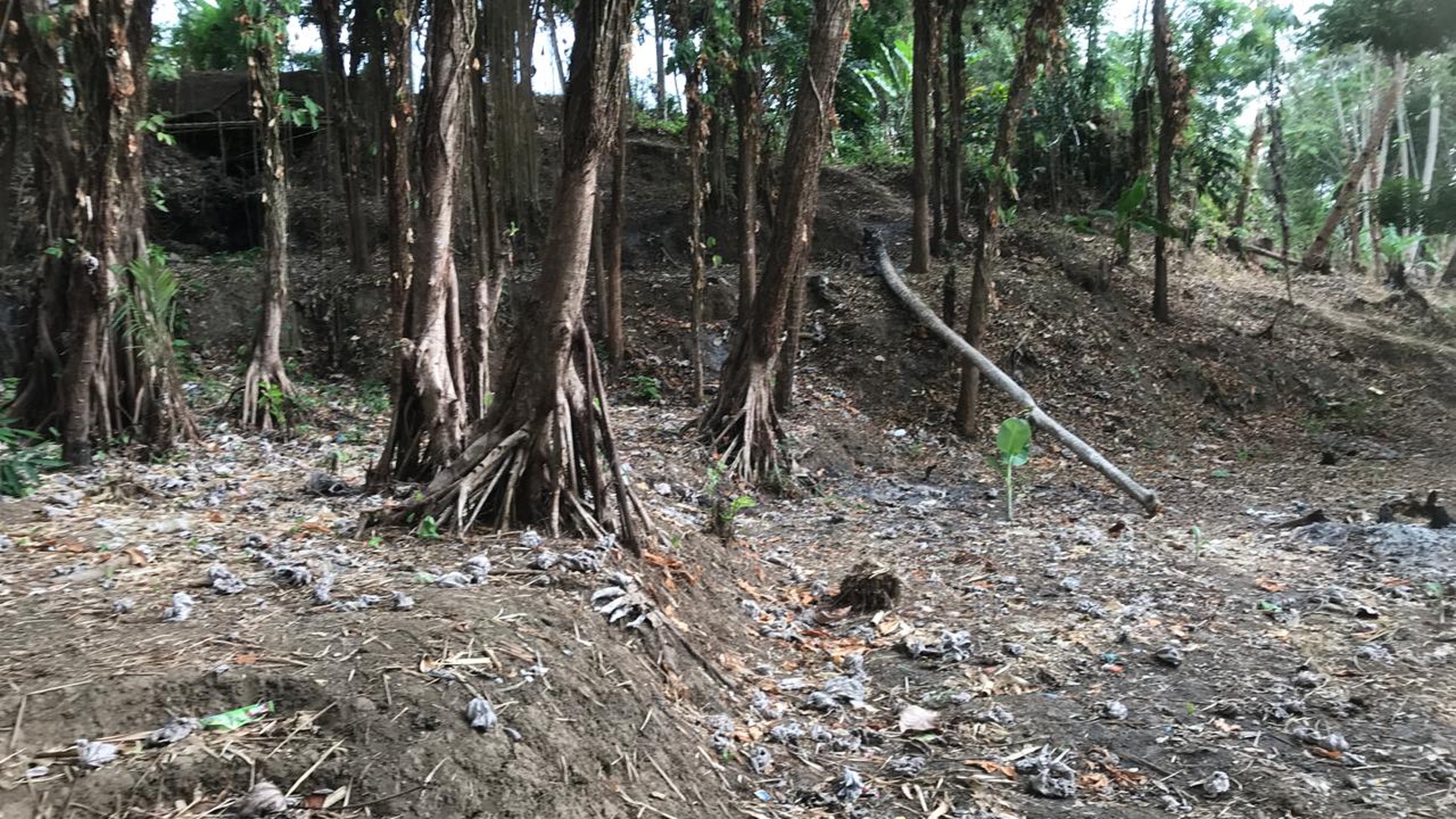 Tanah Luas 2788 Meter Persegi Lokasi Dekat Hotel Puri Asri Magelang 