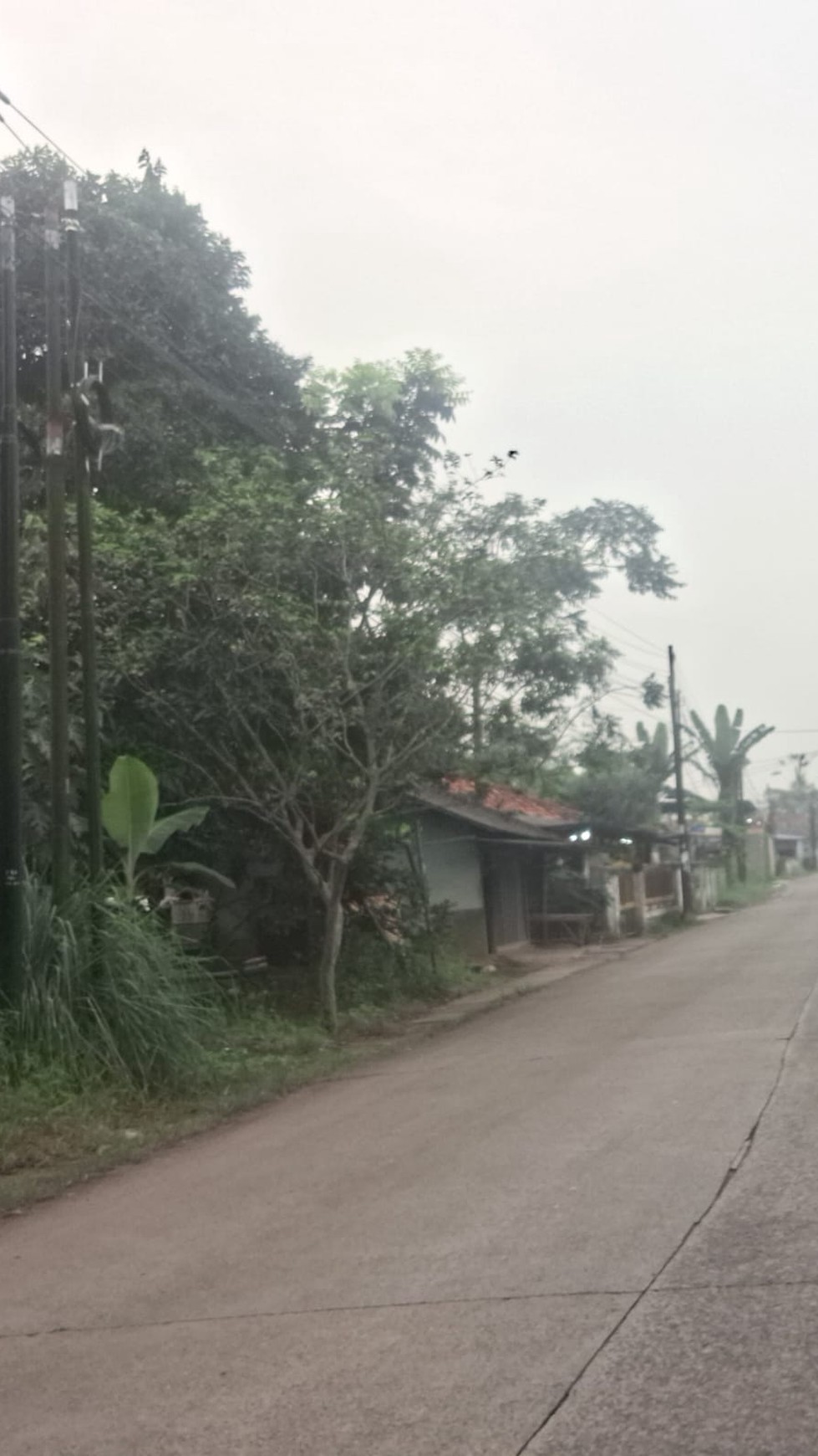 Dijual tanah di sodong tiga raksa