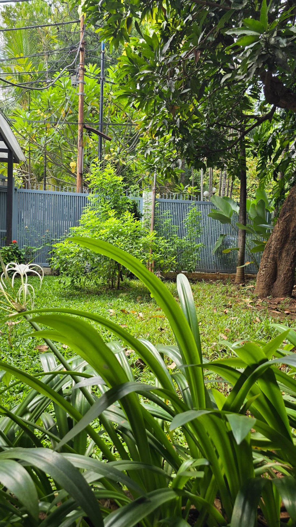 Rumah design kolonial classic Eropa, Jalan Taman Senjaya, Kebayoran Baru, Jakarta Selatan