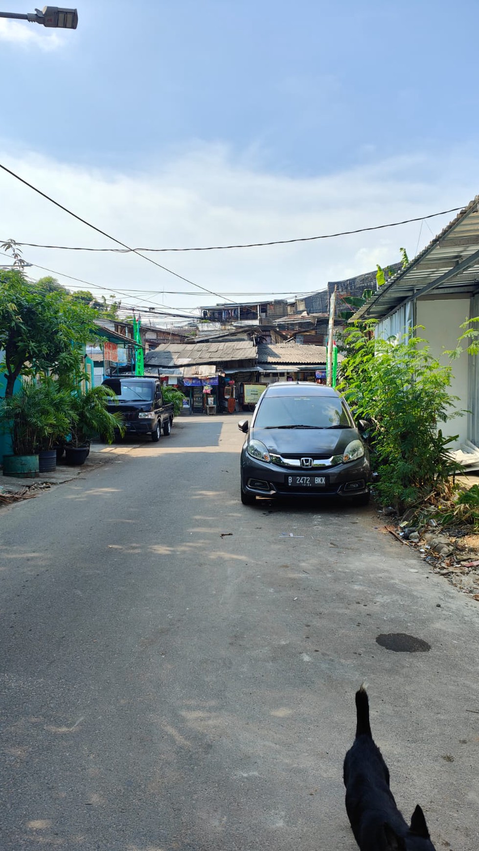 Rumah Tua 1 lantai hitung tanah, cocok buat kost an di Grogol