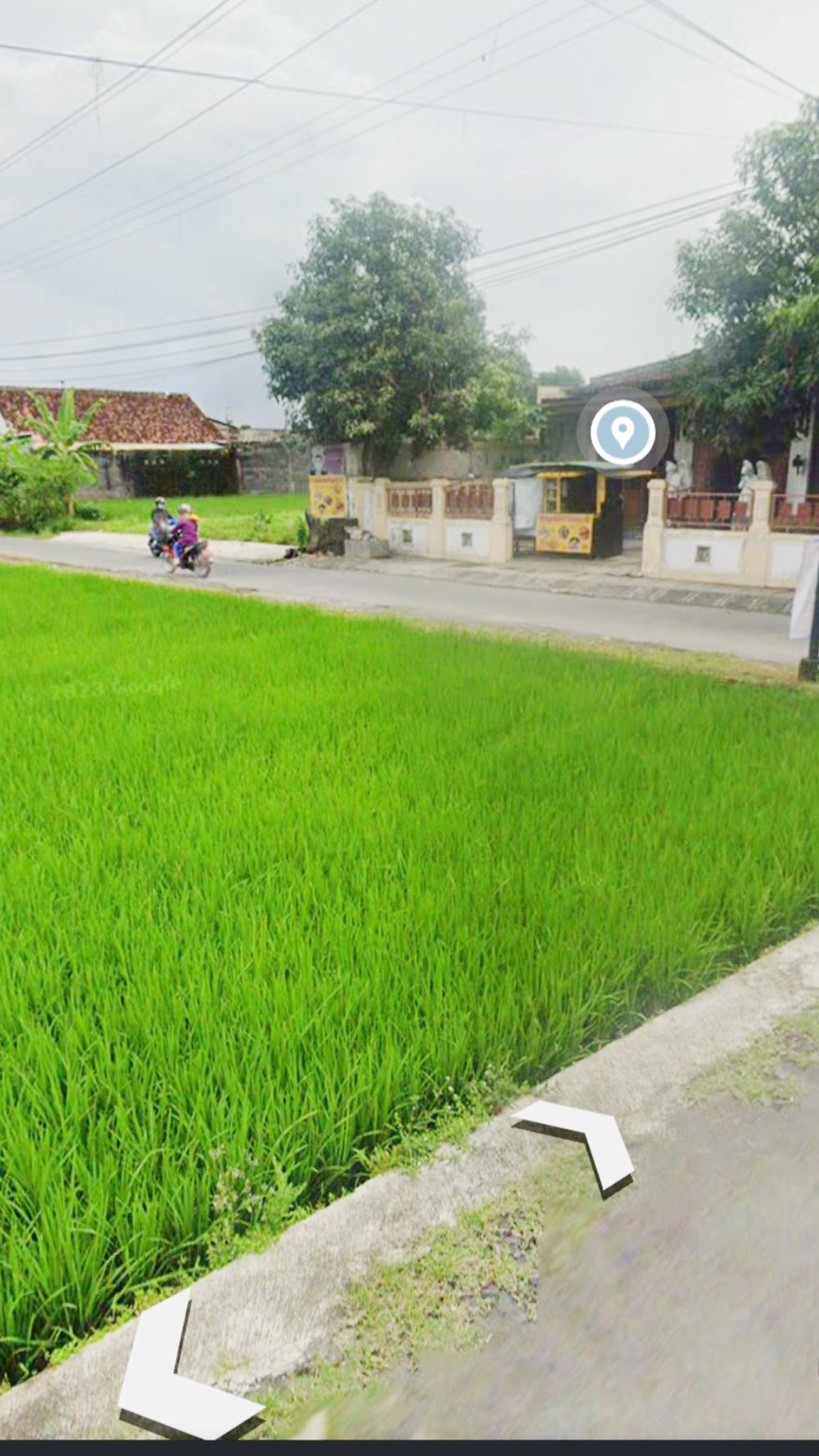 Rumah Bagus Di Jl Puntodewo Sleman Yogyakarta