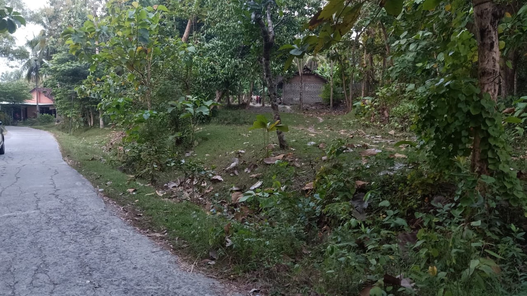 Tanah Pekarangan Luas 1655 Meter Persegi Lokasi Dekat Dari Jl Wates 