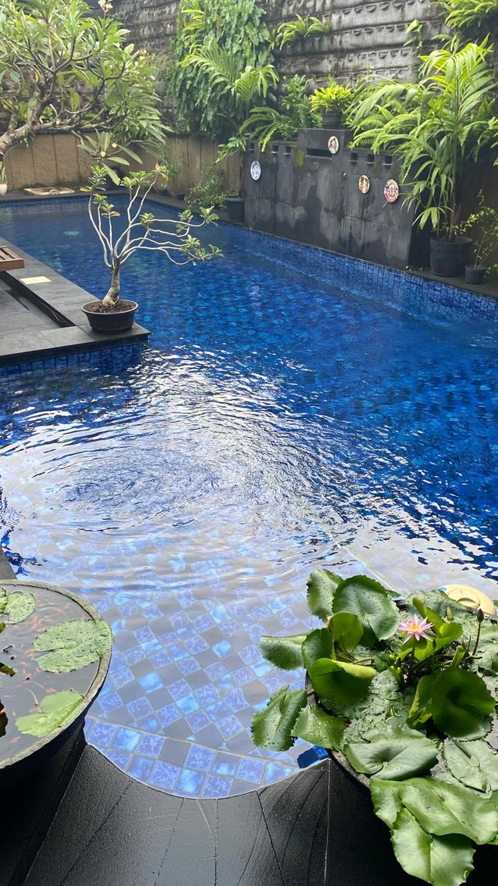 Dijual Rumah Camar Asri..Mewah Terawat Rapi