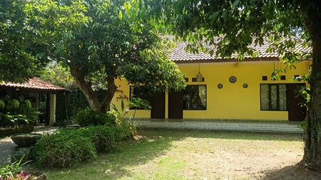 Rumah & Homestay Lokasi Strategis Dekat Sentra Kerajinan Kasongan Kasihan Bantul
