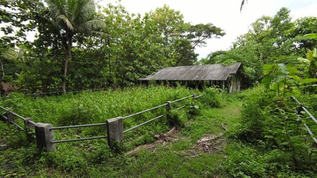 Tanah SHM Luas 1880 Meter Persegi Lokasi Sentolo Kulon Progo 