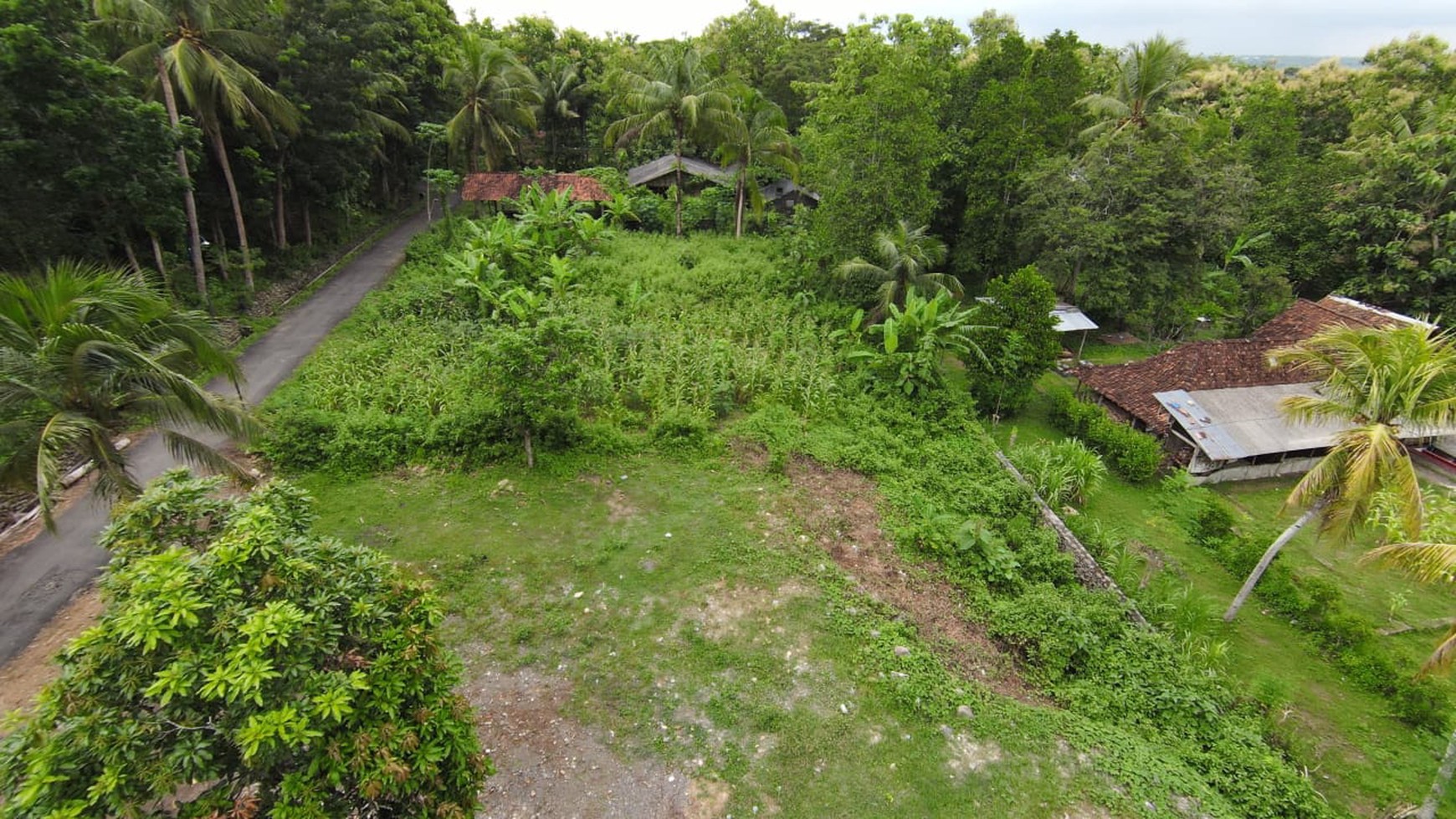 Tanah SHM Luas 1880 Meter Persegi Lokasi Sentolo Kulon Progo 