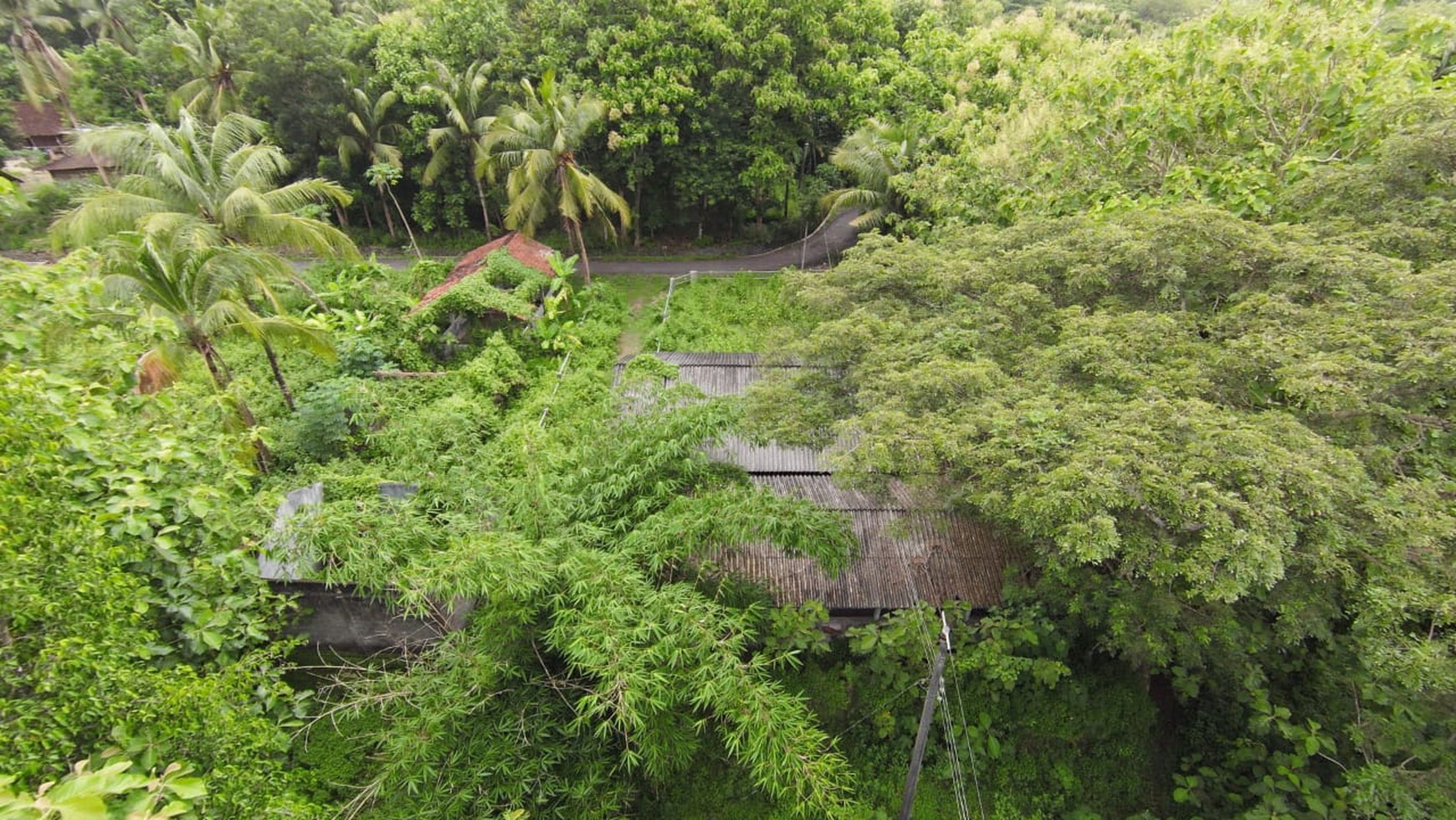 Tanah SHM Luas 1880 Meter Persegi Lokasi Sentolo Kulon Progo 