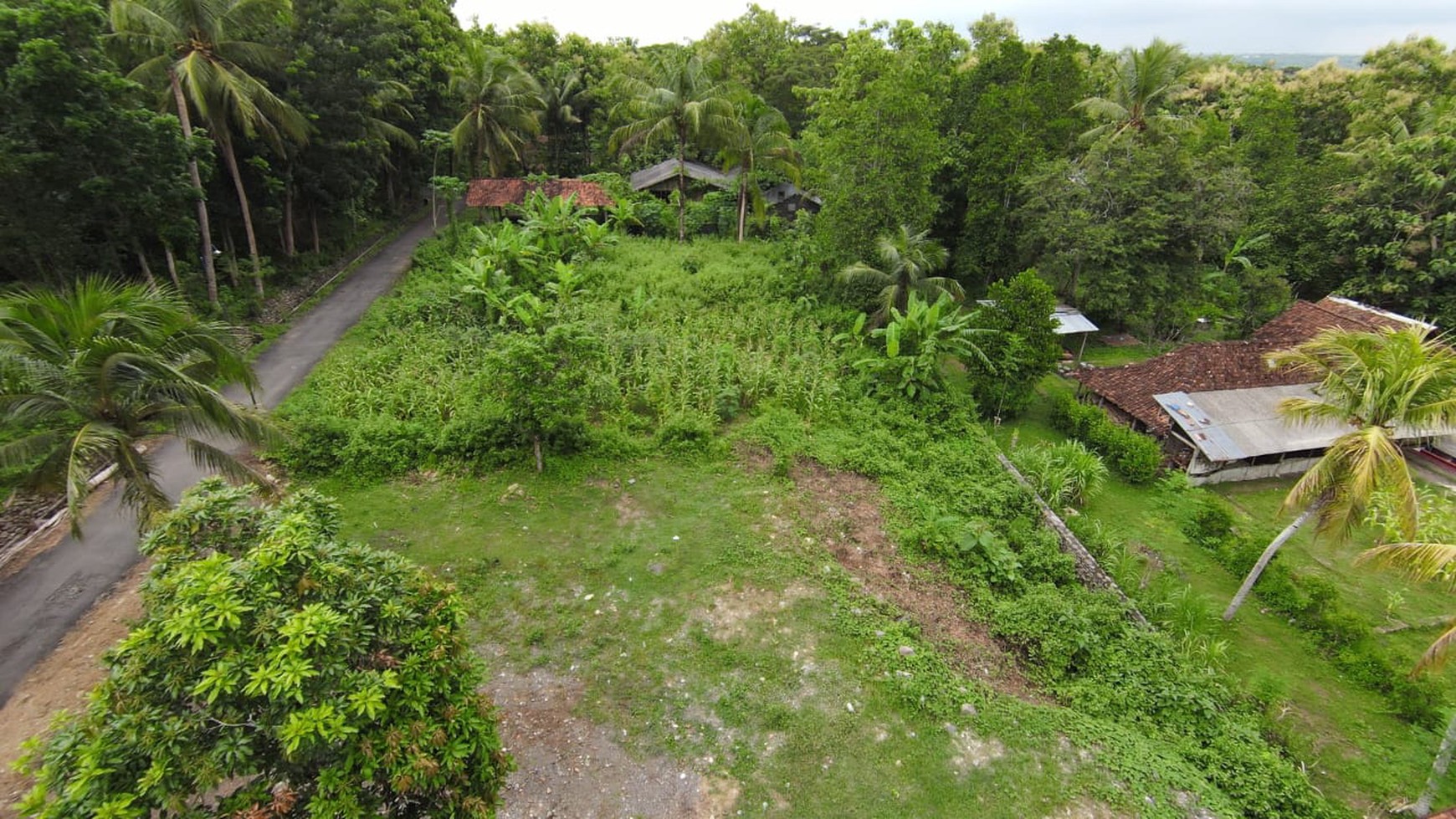 Tanah SHM Luas 1880 Meter Persegi Lokasi Sentolo Kulon Progo 