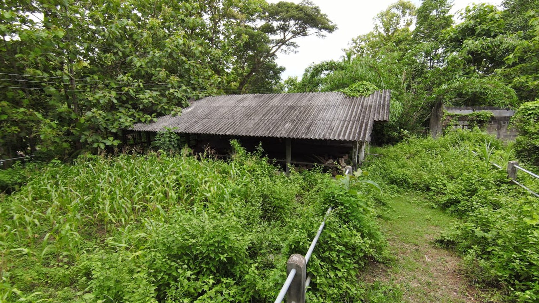 Tanah SHM Luas 1880 Meter Persegi Lokasi Sentolo Kulon Progo 