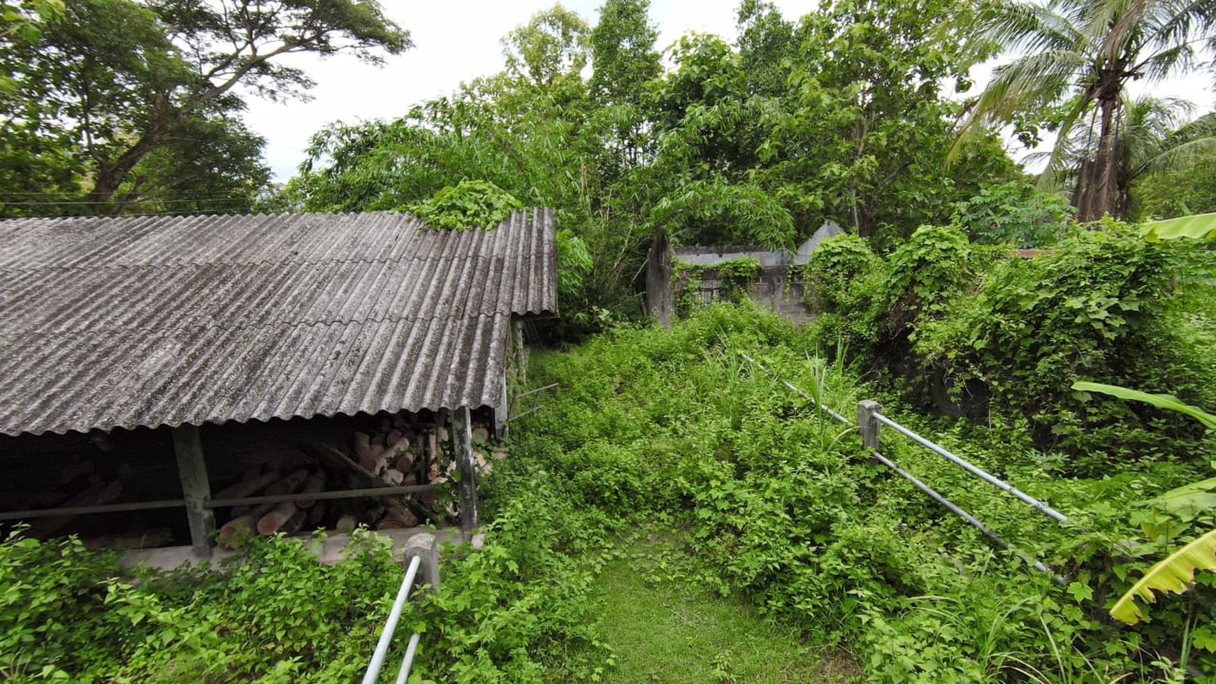 Tanah SHM Luas 1880 Meter Persegi Lokasi Sentolo Kulon Progo 